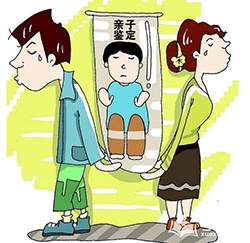天门偷偷做亲子鉴定如何做专业咨询，天门亲子鉴定需要的条件和材料有哪些
