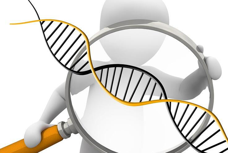 天门司法DNA鉴定流程是什么,天门司法DNA亲子鉴定哪里做